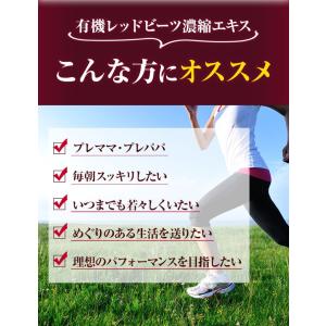 ビーツ 有機レッドビーツ濃縮エキス250g オ...の詳細画像4