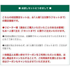 [初回お試し限定]サジージュース ナトゥリー ...の詳細画像2