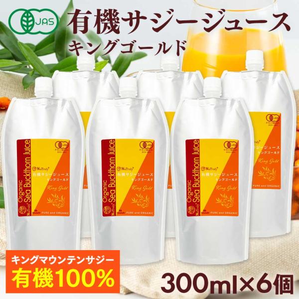 サジー 有機サジージュース キングゴールド 300ml×6個 有機JAS認証 オーガニック 栄養機能...