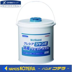 ITW デブコン ≪水なしで手洗い!≫ ハンドクリーナータオル スクラブ72
