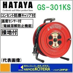 HATAYA ハタヤ サンデーリール GS-301K 標準型コードリール 接地付 30m
