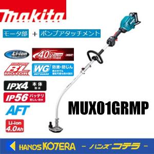 ビオガーデン ポンプ 800 IAA-01BP (46286500)［池用ポンプ 噴水 浄化