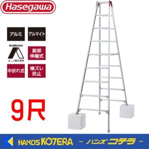 長谷川工業 2連はしご LA2-102 全長：10.22m 最大使用質量：130kg