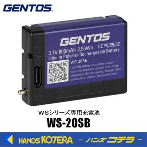 メール便】ジェントス LEDヘッドライト ダブルスター 専用充電池 WS