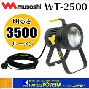 musashi ムサシ  全天候型LED投光器スカイライト30W（WT-2500）