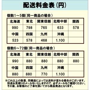 花瓶 ガラス ボトル 花器 フラワーベース ミ...の詳細画像3