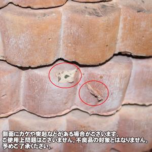 踏み石 飛び石 / ステップストーン ビスケッ...の詳細画像1