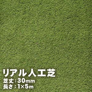 人工芝 プレミアムターフ 35mm 2m×5m 取寄せ商品 送料別見積 大型