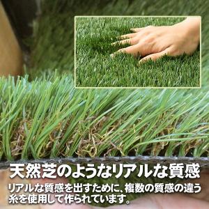 人工芝 プレミアムターフ 35mm 1m×1mの詳細画像3