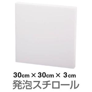 発泡スチロール ブロック 白 ホワイト 300×300×30mm