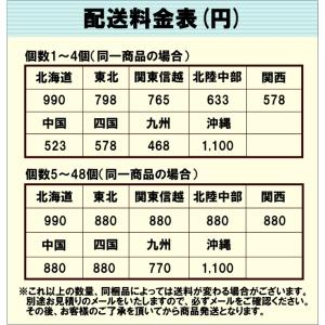 ソーダガラス ストライプキャニスター 105-...の詳細画像3