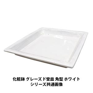 陶器鉢 植木鉢用 皿 受け皿 角 / グレーズド 受皿 角型 ホワイト 約45cm 白 陶器鉢用 受皿 鉢皿 四角 園芸 ガーデニング 7047029 送料別 通常配送