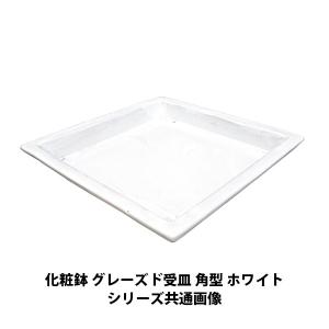 確認ˊᵕˋ白四角皿(中)♡オーダー受け付け 確認ˊᵕˋ白四角皿(中)♡オーダー受け付け 確認ˊᵕˋ白四角皿(中