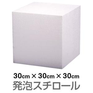 特注品発泡スチロール材ブロック2個 まとめ買い】発泡ミニブロック グレー0330/042272 | ワッツ