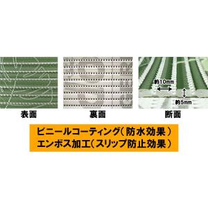 クッションマット65 モンステラ 70207 ...の詳細画像3
