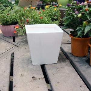 陶器鉢 植木鉢 ホワイトポット角型 Lサイズ 直径18cm×高さ18cm