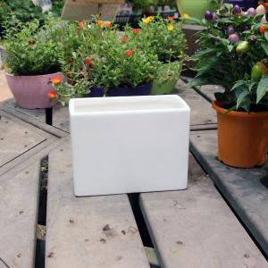 陶器鉢 植木鉢 ホワイトポット角型 Lサイズ 直径18cm×高さ18cm