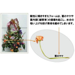フローラルフォーム(オアシス)プレミアム WE...の詳細画像4