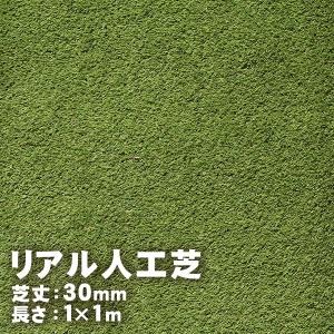 人工芝 プレミアムターフ 35mm 2m×5m 取寄せ商品 送料別見積 大型