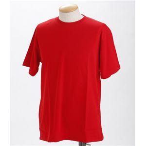 ポロシャツ Tシャツ 同色セット LLサイズ レッド ドライメッシュ ポロ ＆ ティーシャツ セット...