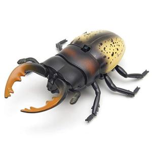 GoodsLand  6type  リアル 甲虫 ラジコン こども向け 子供 簡単 操作 室内 昆虫 虫 RC 赤外線 通信 プレゼント か