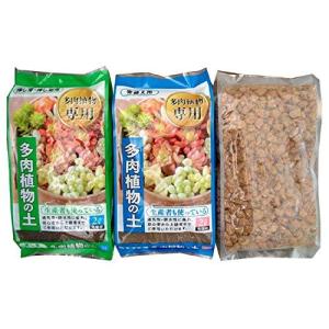 多肉植物 土 配合 その他花 ガーデニング の商品一覧 花 ガーデニング 通販 Yahoo ショッピング