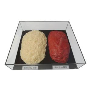 脂肪/筋肉対比セット(アクリルケース入)2kg IP-983｜handyhouse