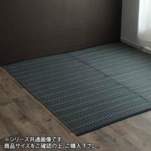 洗える PPカーペット 『バルカン』 江戸間6畳(約261×352cm) ネイビー