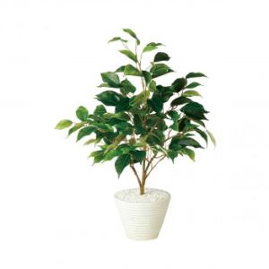 人工観葉植物 テーブル ベンジャミン 55cm 鉢植 観葉植物 造花 フェイクグリーン 光触媒 Ct触媒 インテリア Tk 962 フェイクグリーンの神戸花物語 通販 Yahoo ショッピング
