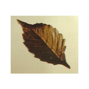 木彫り材料・木の葉ブローチA