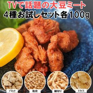 大豆ミート 4種 お試しセット スライス ブロック