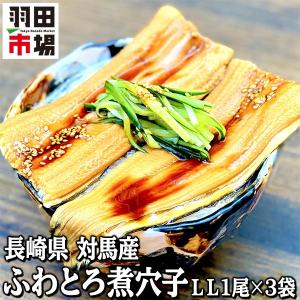 長崎県 対馬産 冷凍 ふわとろ煮穴子 LL 1尾 3袋 国産