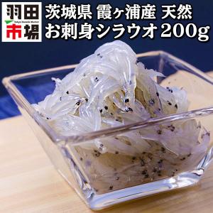 白魚の商品一覧 通販 Yahoo ショッピング