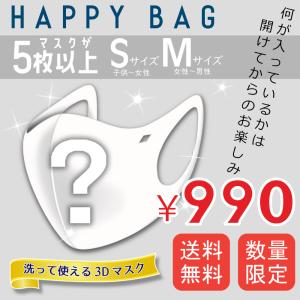 福袋 2021 ハッピーバック happybag2021 マスク 5パック 送料無料