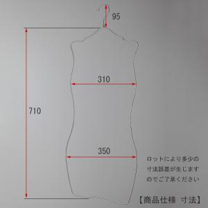 ハンガー ビキニ 下着 水着用 SMW-05R...の詳細画像2