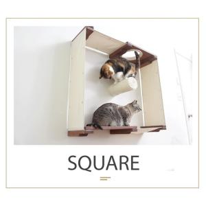 キャットタワー 据え置き アメリカCatastr...の商品画像