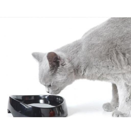 フードボウル SAVIC ベルギーサヴィッチ社製 水飲みウォーターボウル ウィスカーウォーター