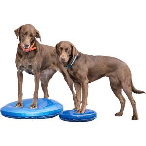 犬用競技用 アジリティ用品 アメリカFitPAWS バランスディスク35.5ｃｍ ブルー