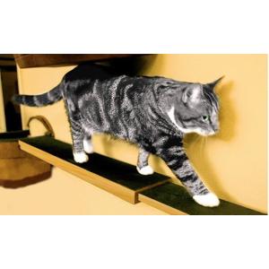 キャットタワー 据え置き メイドインUSAの壁...の詳細画像4