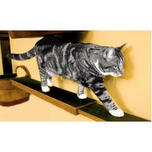 キャットタワー 据え置き メイドインUSAの壁...の詳細画像4