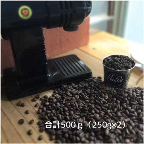 コーヒー豆 コーヒー 珈琲豆 Hang Out オリジナルブレンド 250g×２