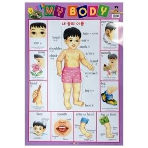 韓国語教材　韓国語子ども用教材　ポスター　私のからだ