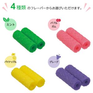 アライナーチューイー 1パック(2本入)×10...の詳細画像2