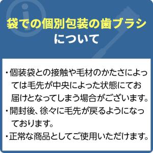 Shu Shu 歯ブラシ シュシュ 50本 α...の詳細画像4