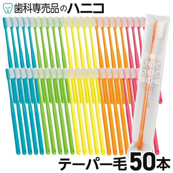 Shu Shu 歯ブラシ シュシュ α テーパー毛 50本 歯科専売品 日本製 ハブラシ