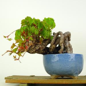中古】花台 根卓 高さ 約 22.5cm 飾台 置き物台 花飾 木製 小品卓 盆栽