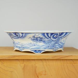 月香 染付 龍絵 外縁 木瓜鉢 観賞用 盆栽鉢...の詳細画像2