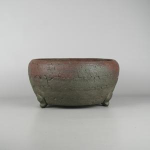 盆栽鉢 常滑 十王堂 松泉造 中型 長辺 約 30cm 丸鉢 古銭 模様 現品