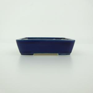 現代小鉢：青香 楕円浅鉢 10.2cm*seika : 遊恵盆栽 Yahoo!店 - 通販