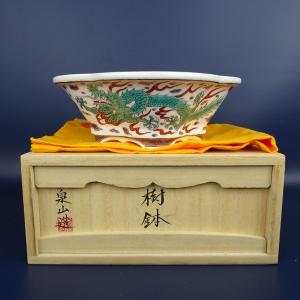 昭阿弥色絵鳳凰図丸鉢 : 盆栽彩都ヤフー店 - 通販 - Yahoo!ショッピング